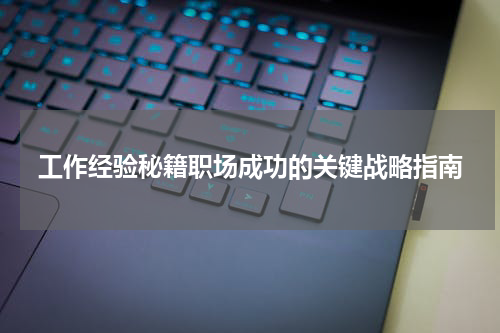 工作经验秘籍职场成功的关键战略指南