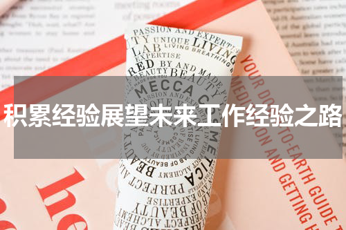 积累经验展望未来工作经验之路