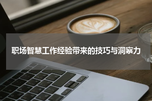 职场智慧工作经验带来的技巧与洞察力