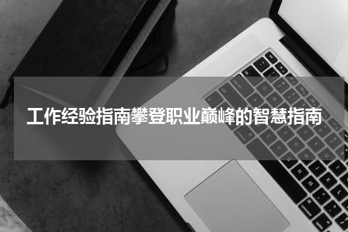 工作经验指南攀登职业巅峰的智慧指南