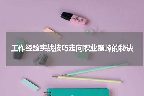 工作经验实战技巧走向职业巅峰的秘诀