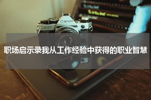 职场启示录我从工作经验中获得的职业智慧