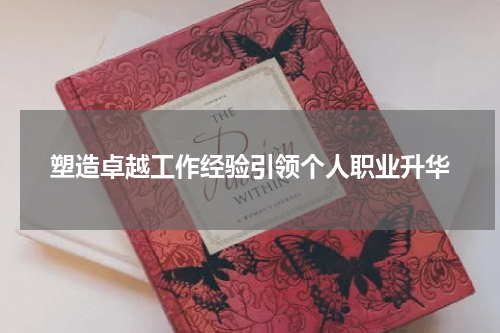 塑造卓越工作经验引领个人职业升华