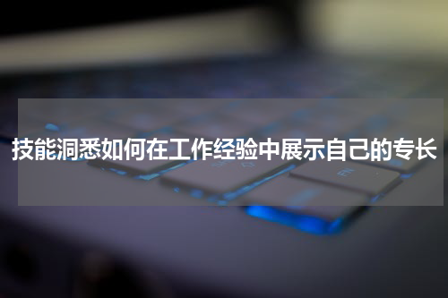技能洞悉如何在工作经验中展示自己的专长