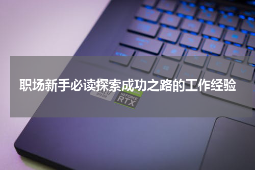 职场新手必读探索成功之路的工作经验