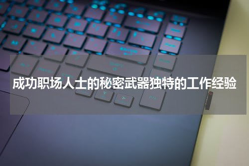 成功职场人士的秘密武器独特的工作经验