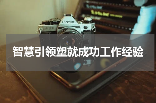 智慧引领塑就成功工作经验