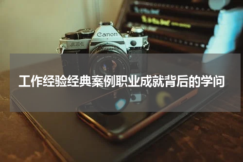 工作经验经典案例职业成就背后的学问
