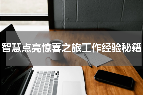 智慧点亮惊喜之旅工作经验秘籍
