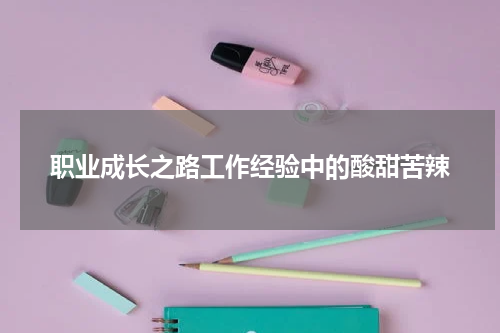 职业成长之路工作经验中的酸甜苦辣