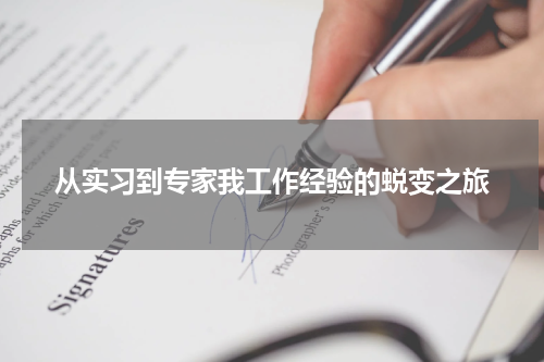 从实习到专家我工作经验的蜕变之旅