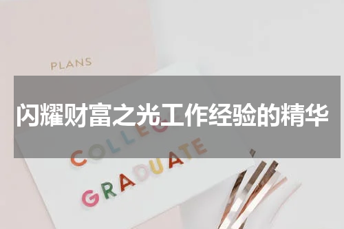 闪耀财富之光工作经验的精华