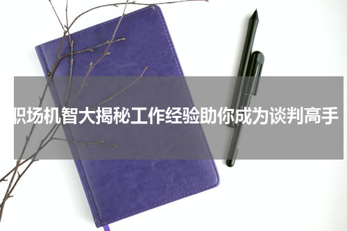 职场机智大揭秘工作经验助你成为谈判高手
