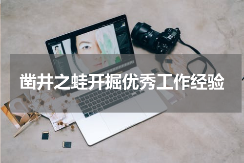凿井之蛙开掘优秀工作经验