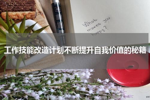 工作技能改造计划不断提升自我价值的秘籍