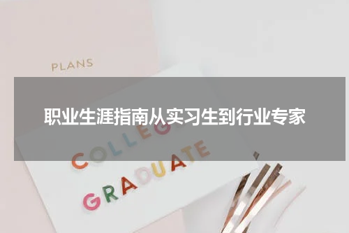职业生涯指南从实习生到行业专家