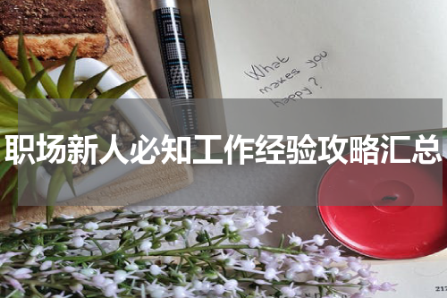 职场新人必知工作经验攻略汇总