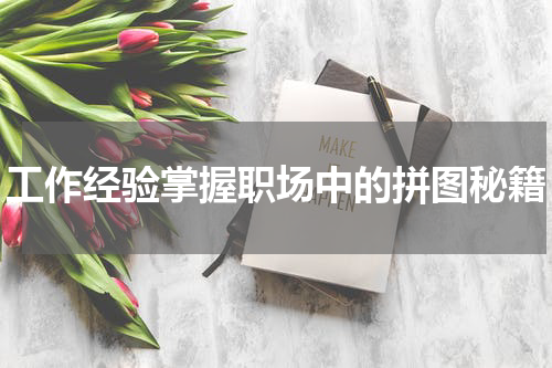 工作经验掌握职场中的拼图秘籍