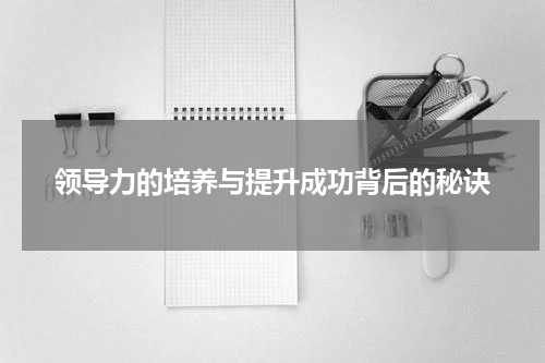 领导力的培养与提升成功背后的秘诀