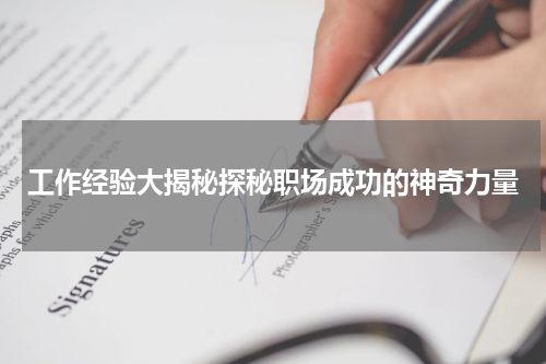 工作经验大揭秘探秘职场成功的神奇力量