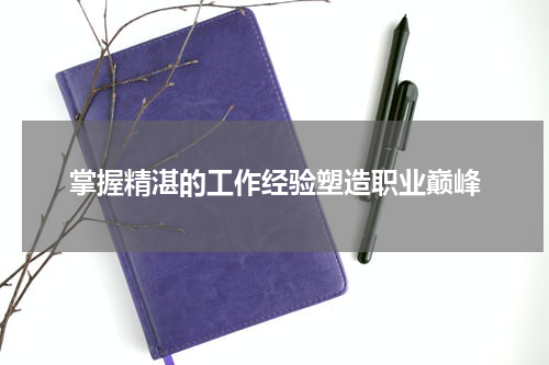 掌握精湛的工作经验塑造职业巅峰