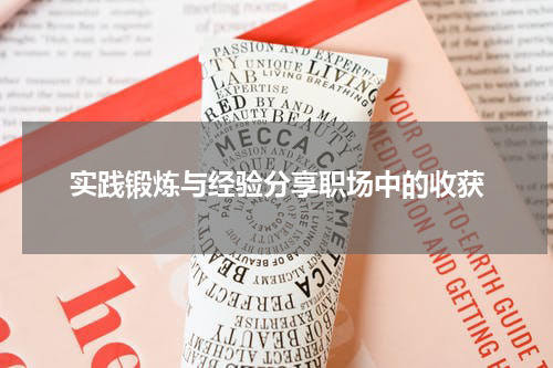 实践锻炼与经验分享职场中的收获
