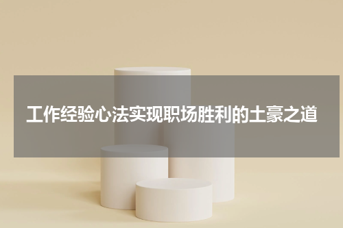 工作经验心法实现职场胜利的土豪之道