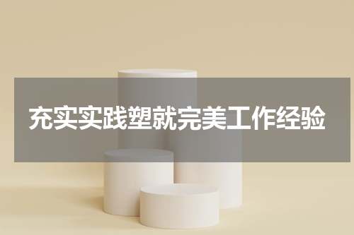 充实实践塑就完美工作经验