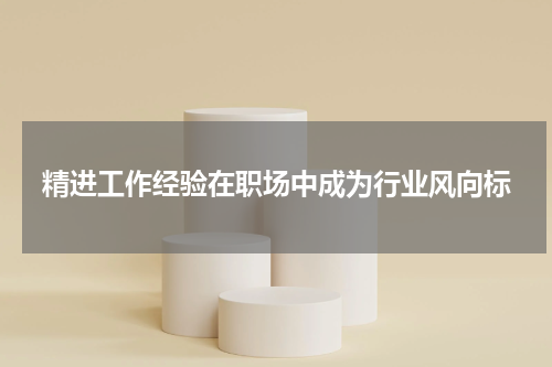 精进工作经验在职场中成为行业风向标