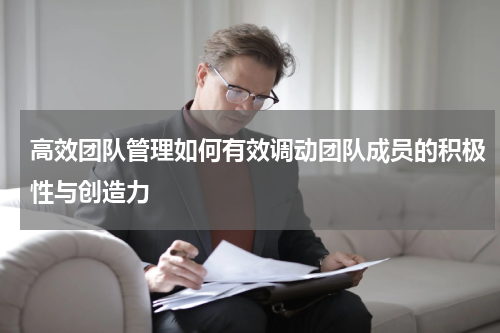 高效团队管理如何有效调动团队成员的积极性与创造力