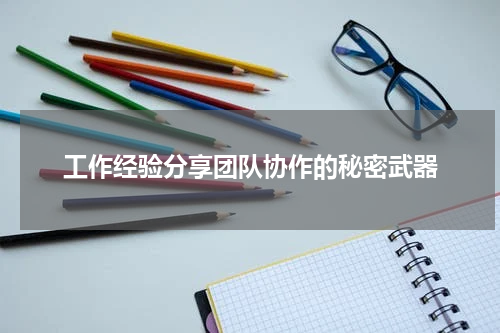 工作经验分享团队协作的秘密武器