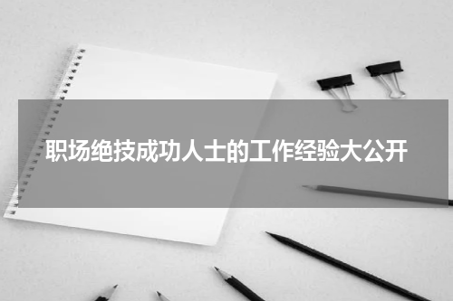 职场绝技成功人士的工作经验大公开