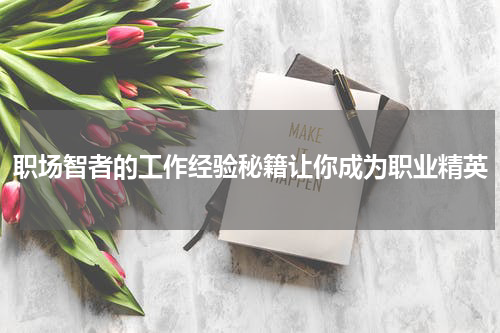 职场智者的工作经验秘籍让你成为职业精英