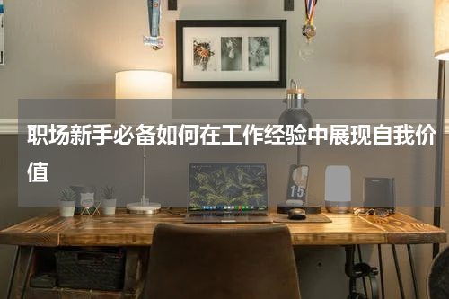 职场新手必备如何在工作经验中展现自我价值
