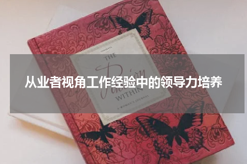 从业者视角工作经验中的领导力培养