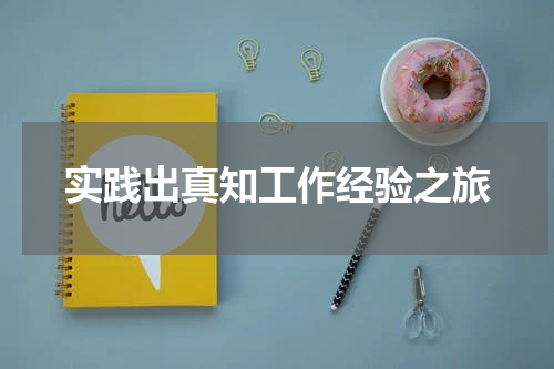 实践出真知工作经验之旅
