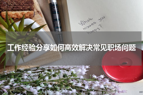 工作经验分享如何高效解决常见职场问题