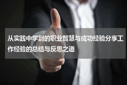 从实践中学到的职业智慧与成功经验分享工作经验的总结与反思之道