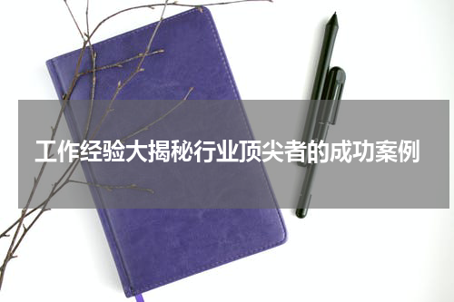 工作经验大揭秘行业顶尖者的成功案例