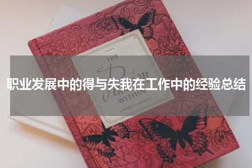 职业发展中的得与失我在工作中的经验总结