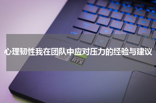 心理韧性我在团队中应对压力的经验与建议