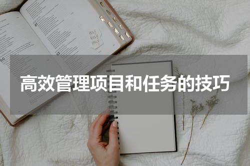 高效管理项目和任务的技巧