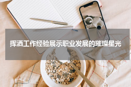 挥洒工作经验展示职业发展的璀璨星光