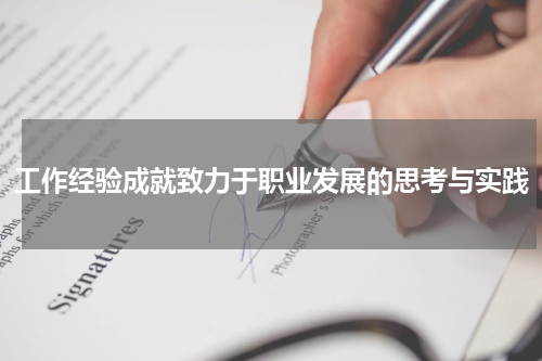 工作经验成就致力于职业发展的思考与实践