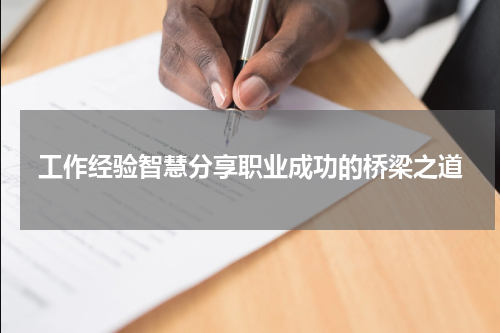 工作经验智慧分享职业成功的桥梁之道