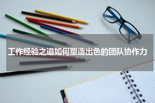 工作经验之道如何塑造出色的团队协作力