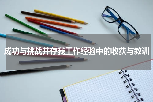 成功与挑战并存我工作经验中的收获与教训