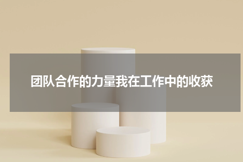 团队合作的力量我在工作中的收获