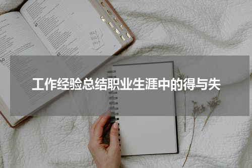 工作经验总结职业生涯中的得与失