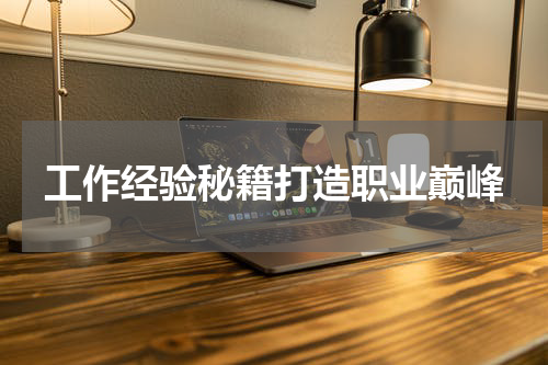 工作经验秘籍打造职业巅峰
